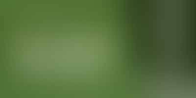 Discover Evergreen Fashion Trends - 🌟Timeless Style Guide🌟